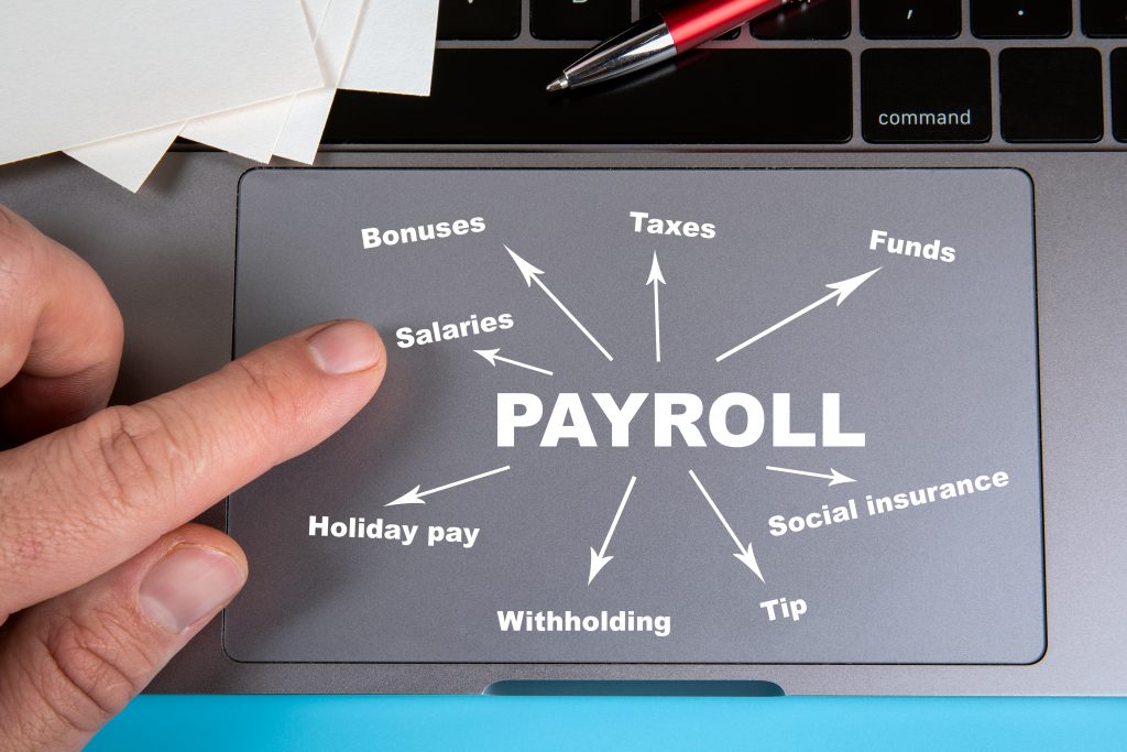 payroll and tax brain tree