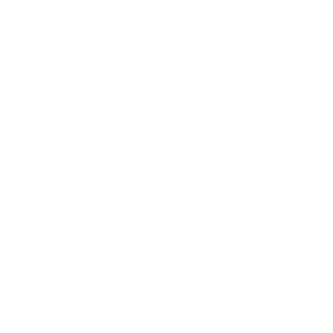 PWW_Logo_Screen_No_TM_SECONDARY_WHITE_RGB